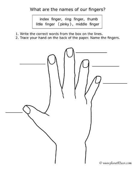 Names Of Fingers Vocabulary Genius777 PRINTABLES